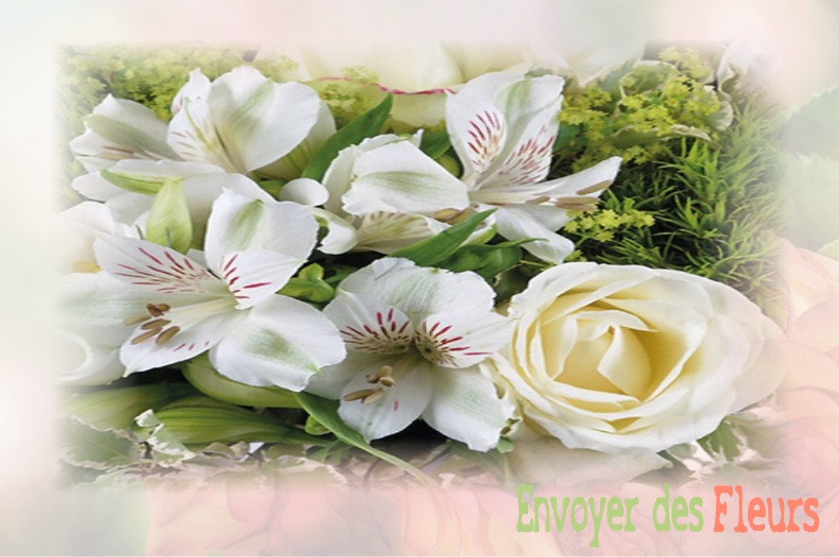 envoyer des fleurs à à VILLE-SUR-SAULX