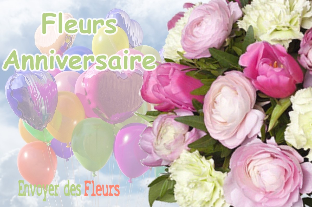 lIVRAISON FLEURS ANNIVERSAIRE à VILLE-SUR-SAULX