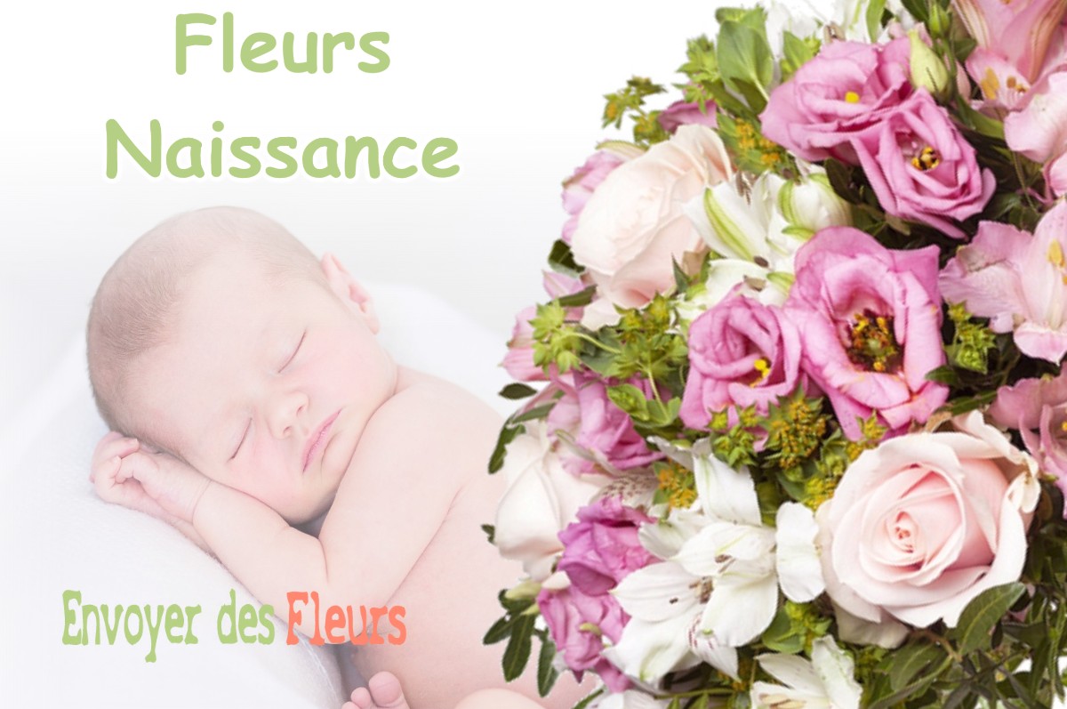 lIVRAISON FLEURS NAISSANCE à VILLE-SUR-SAULX